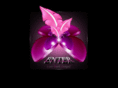 dark-designs.de