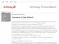 avinway.com