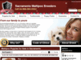 sacramentomaltipoobreeders.com