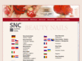 snc-nailstore.com