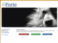 fortecomputing.com