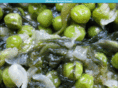 ingestdigest.com