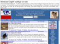 miniatureenglishbulldogs.net