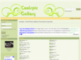 coolspic.com