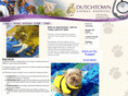 dutchtownanimalhospital.com