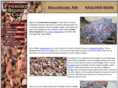 frontierstonecompany.com