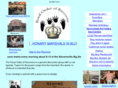royalorderofraccoons.com