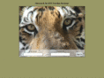 bigcatvolunteers.org