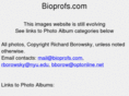 bioprofs.com
