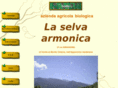 laselvaarmonica.com