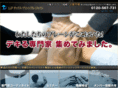 llp-tpj.com