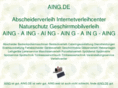 aing.de