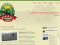 lartiguemonorail.com