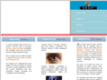 tdssecurityservices.com