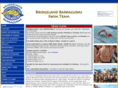 bridgelandbarracudas.com