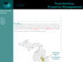 true-service.com