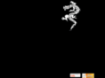 vanesmagic.com