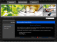 zenithclinicalservices.com