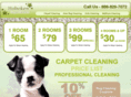 hobokencarpetcleaners.com