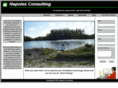 napolesconsulting.net