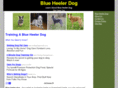 blueheelerdog.net