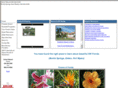 bonitaspringshometeam.com