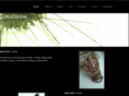 calicoleaf.com