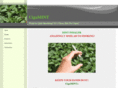 cigamint.com