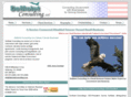 demoletconsulting.com
