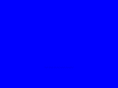 majesticdrywall.org