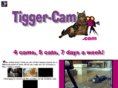 tigger-cam.com