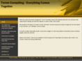 torres-consulting.com