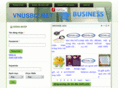 vnusbiz.net