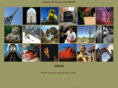 whereintheworldarethefergusons.com