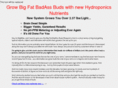 hydroponicslifestylemagazine.com