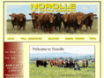 norolle.com.au