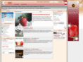 dinnersearch.at