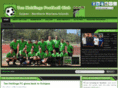 tanholdingsfc.org