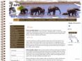 africanparadisesafaris.com