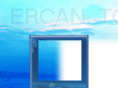 ercantorna.com