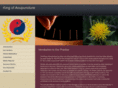 kingofacupuncture.com