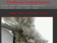 basicfirerescue.com