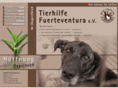 th-fuerte.com