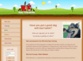 witsenddogtraining.com