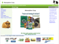 absorptioncorp.com