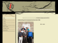 acelectriccoinc.com