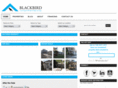 bbirdhomes.com
