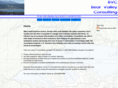 bearvalleyconsulting.com