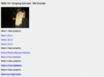 imorte.com