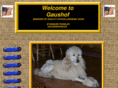 redstandardpoodles.com